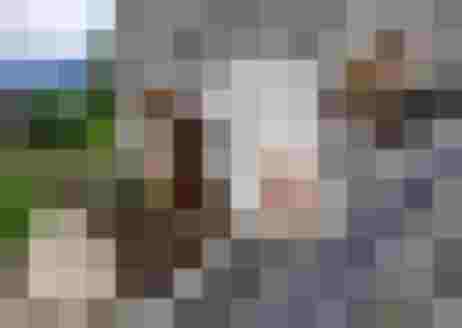 Ziegenkopf an einem Holzzaun, im Hintergrund Schafe und ländliche Umgebung sichtbar.