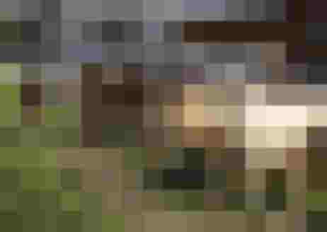 🌷 Biobauernhof Reiterhof - Erlebnis & Entspannung 🐑