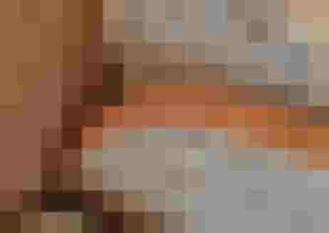 Frisch gebackenes Brot und Brötchen auf einem Holzbrett, ideal für den Bio-Bauernhof.