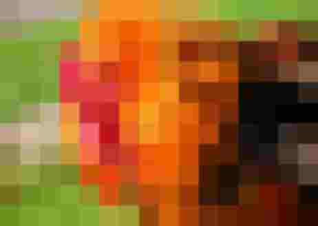 🌷 Biobauernhof Reiterhof - Erlebnis & Entspannung 🐑