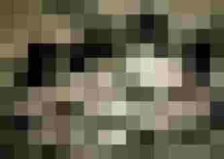 🌷 Biobauernhof Reiterhof - Erlebnis & Entspannung 🐑