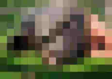 🌷 Biobauernhof Reiterhof - Erlebnis & Entspannung 🐑