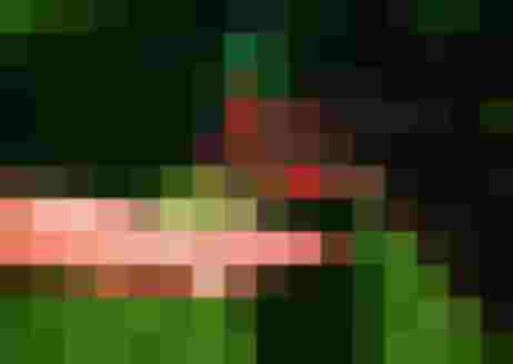 🌷 Biobauernhof Reiterhof - Erlebnis & Entspannung 🐑