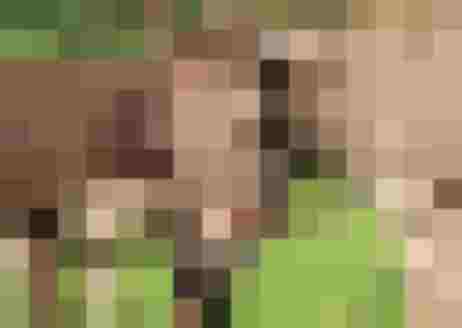 🌷 Biobauernhof Reiterhof - Erlebnis & Entspannung 🐑